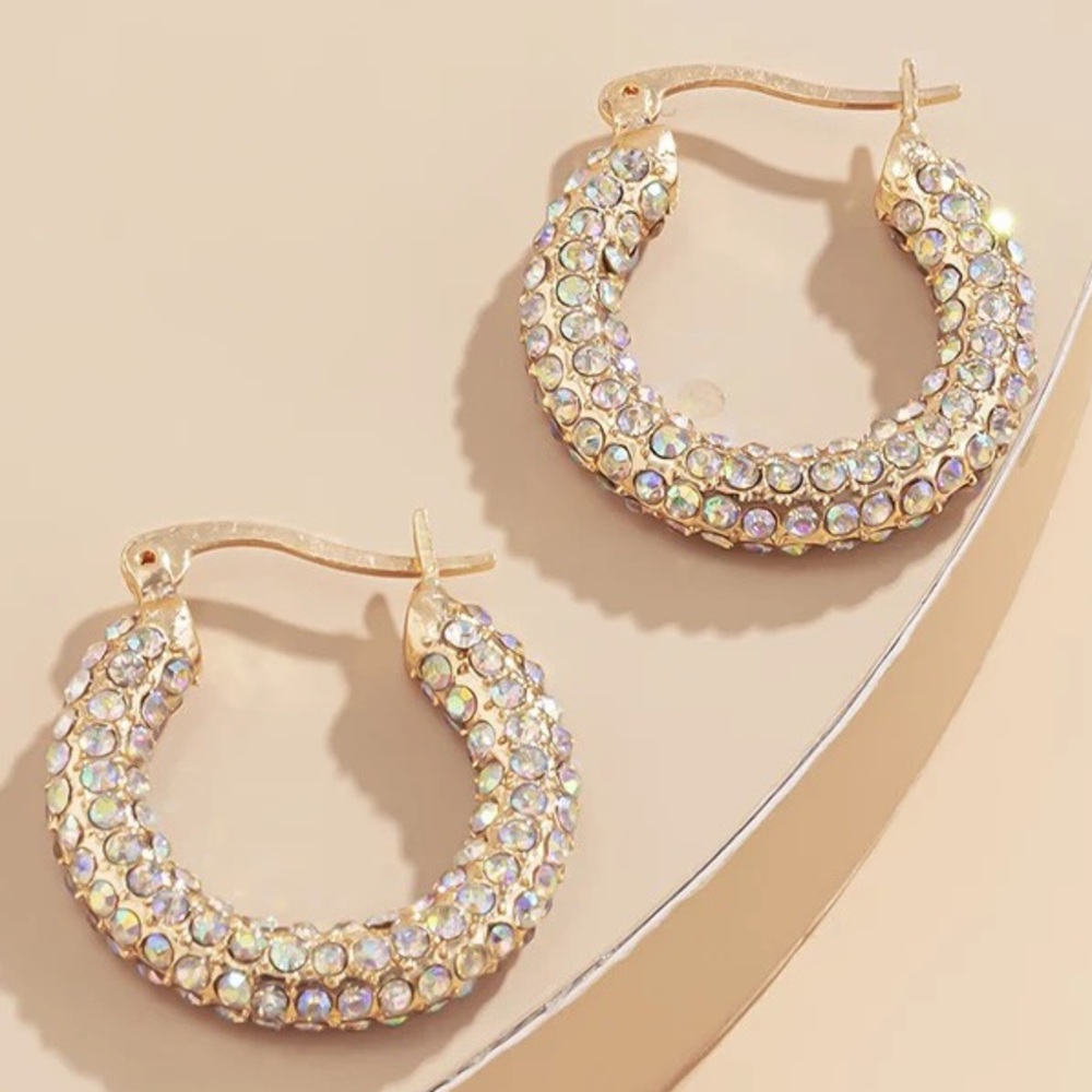 18k Gold Plated Hoops/ Paved With Cubic Zirconia